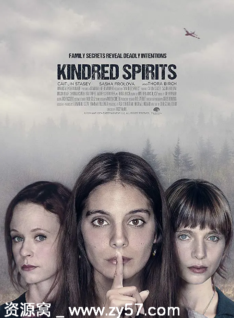 电影《灵魂相锲》海报