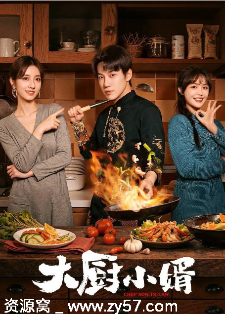 大厨小婿海报