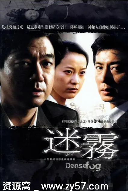 迷雾电视剧海报