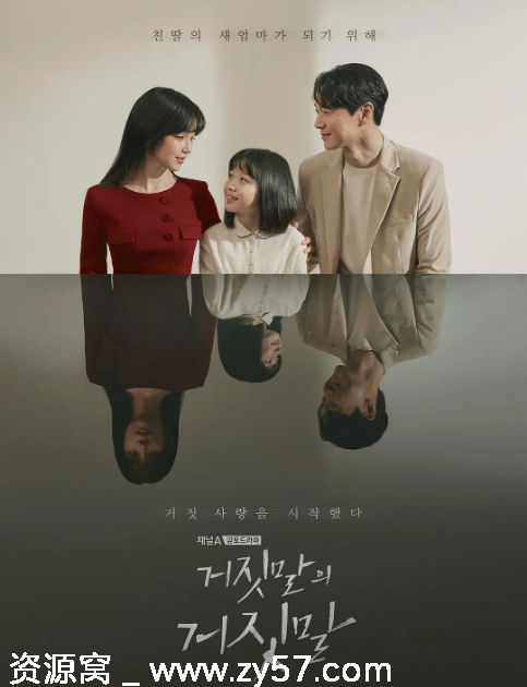 谎言的谎言海报