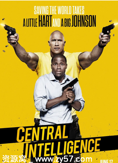 乌龙特工电影海报