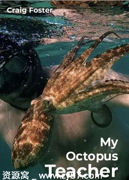 南非纪录片《我的章鱼老师》（2020）剧情介绍/豆瓣评分9.3 - 零零盘