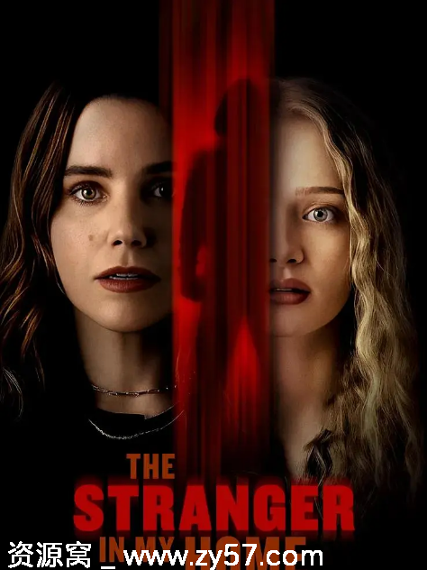 我家的陌生人海报