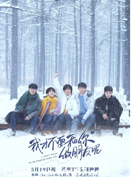 我才不要和你做朋友呢 海报