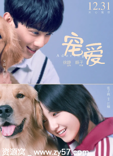 电影《宠爱》海报