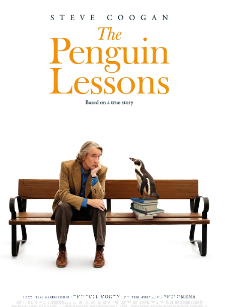 西班牙电影《企鹅课》2024剧情解析 豆瓣评分7.4 - 零零盘