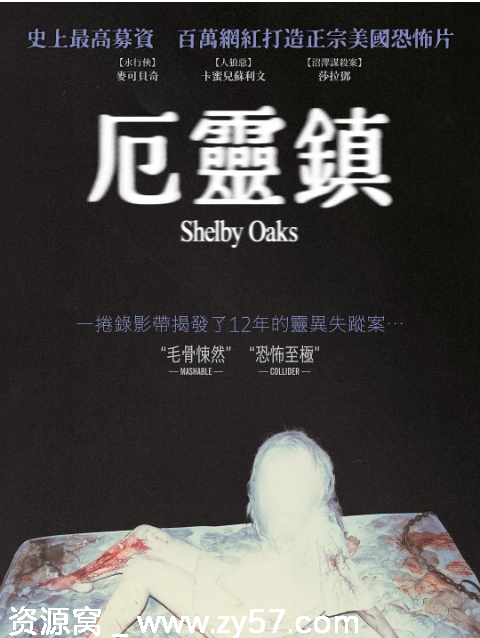 电影《谢尔比橡树》海报或剧照