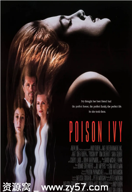 美国电影《欲海潮》（1992）剧情解析/惊悚片推荐 豆瓣评分6.2 - 零零盘