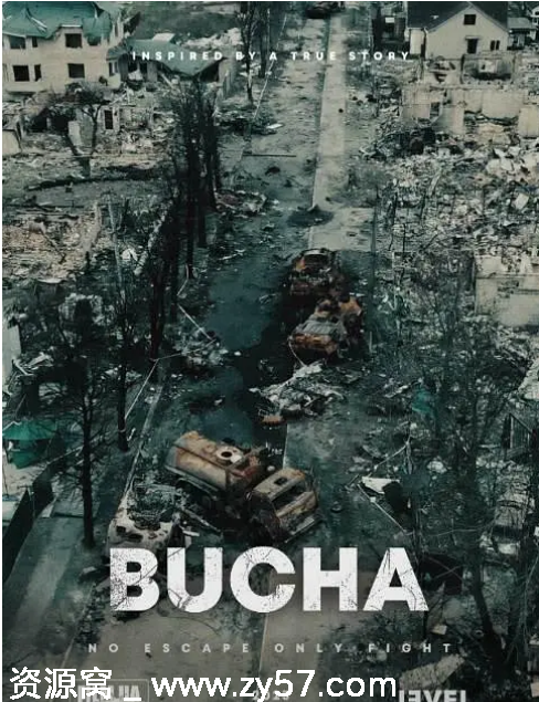 电影《布查》海报