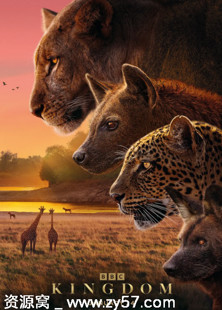 英国纪录片《动物王国》（2025）高清完整版免费分享 - 零零盘