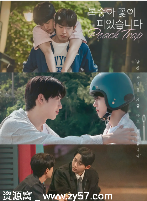 电视剧《桃花开好了》海报