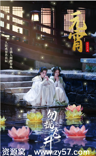 国剧《勿扰飞升》（2025）剧情解析分享 - 零零盘