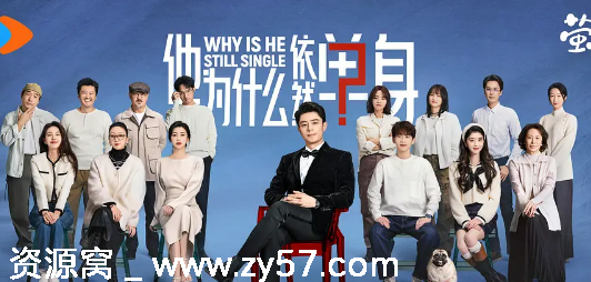 他为什么依然单身海报