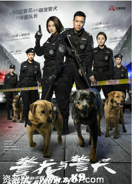 国剧推荐警花与警犬2016剧情解析 犯罪题材豆瓣7.2评分 - 零零盘