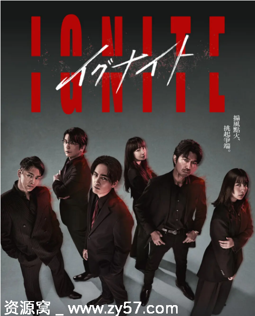 点燃-法之无法者海报