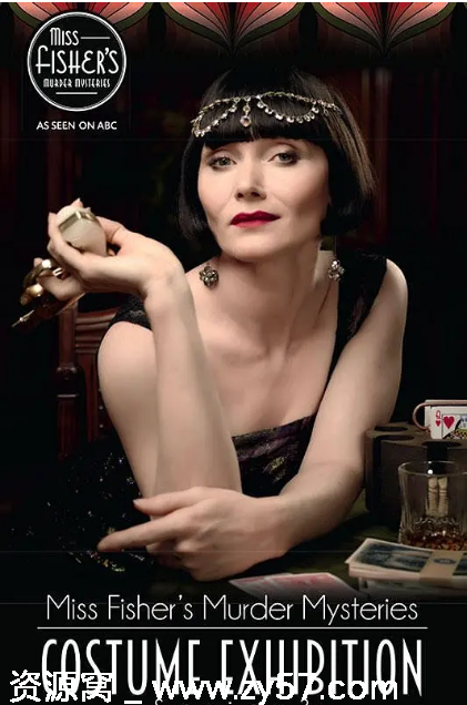 澳大利亚连续剧《费雪小姐探案集》1-3季完整版 豆瓣高分悬疑犯罪剧 - 零零盘