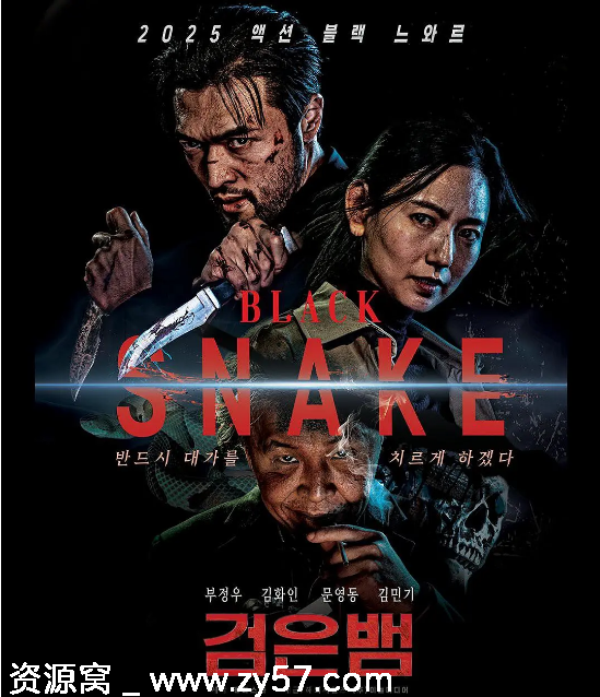 黑蛇电影海报