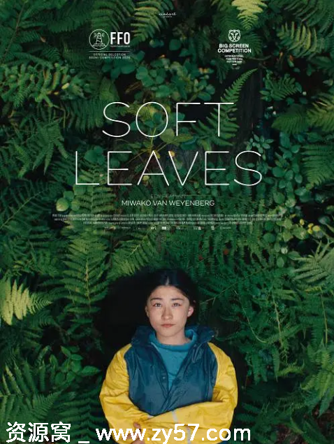 电影《温柔的叶子》海报