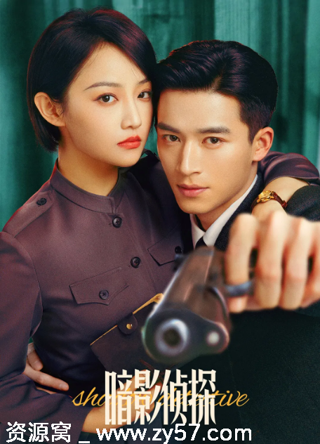 国剧《暗影侦探》（2025）剧情解析/悬疑剧深度解读 - 零零盘