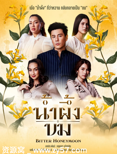 热门泰剧《苦蜜》2025年最新剧情解析 - 零零盘