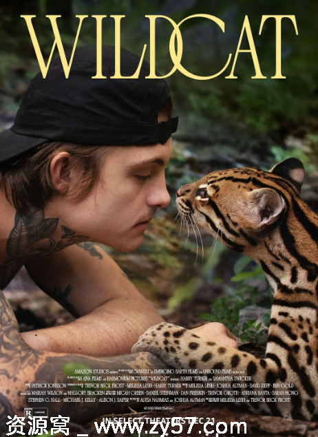 野猫 Wildcat 电影海报