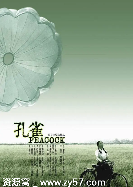 《孔雀2005》剧情解析 家庭题材电影推荐 豆瓣评分8.2 - 零零盘