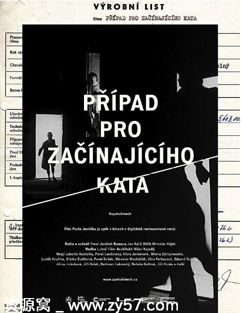 为年轻刽子手的辩护电影海报