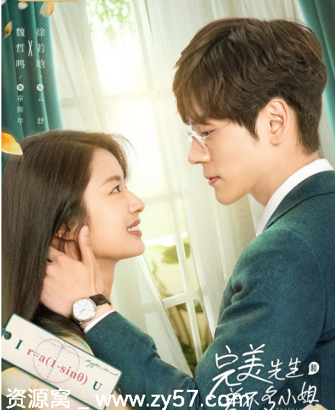 完美先生和差不多小姐海报