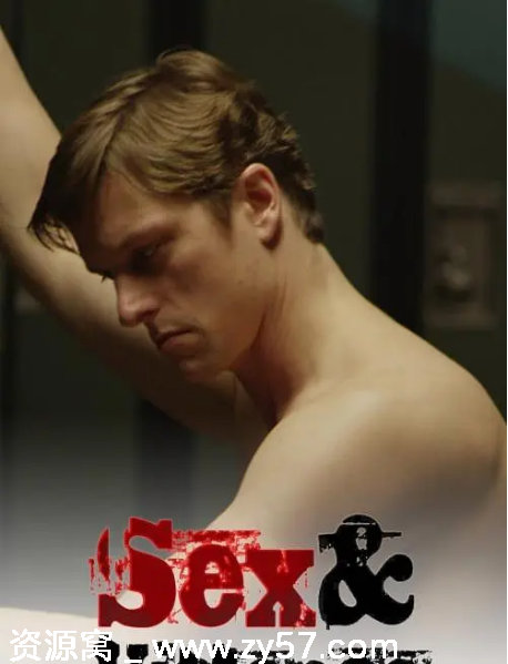 加拿大剧《性与暴力》1-3季全集剧情解析/犯罪题材豆瓣7.4分 - 零零盘