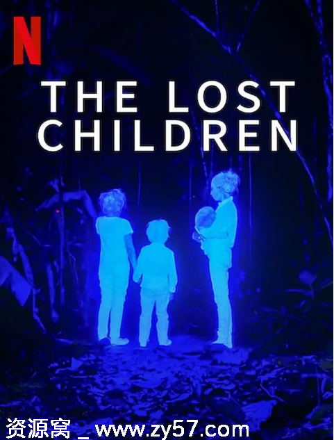 哥伦比亚纪录片《失落的孩子：亚马逊空难奇迹》2024豆瓣6.9高清完整版 - 零零盘