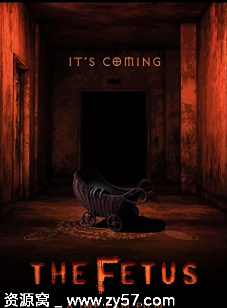 胎儿 The Fetus 电影海报