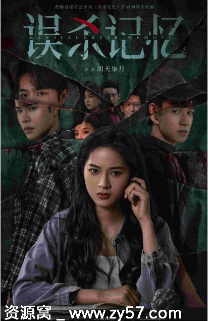 国剧推荐《误杀记忆》2025年悬疑短片犯罪剧情全解析 - 零零盘