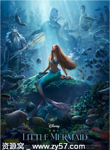 美国电影《小美人鱼》真人版（2023）高清资源分享 - 零零盘