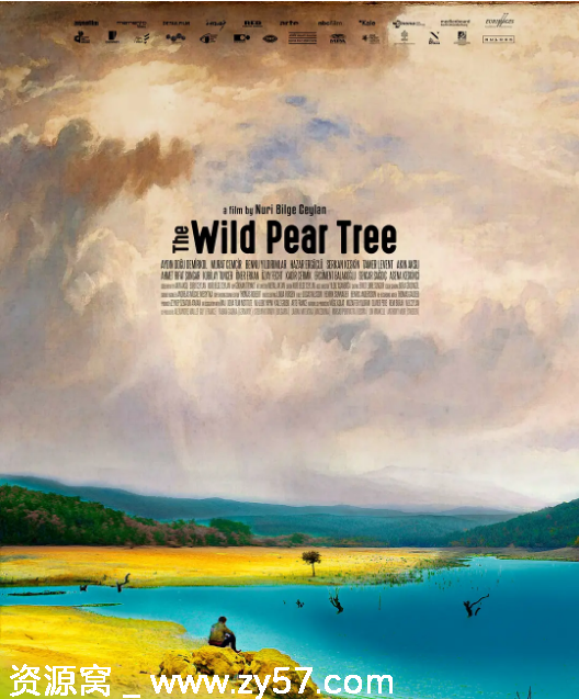 土耳其电影《野梨树》（2018）剧情解读 豆瓣评分8.1 - 零零盘