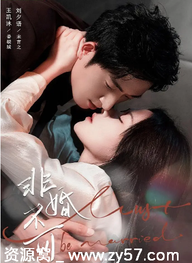 国剧推荐短剧《非婚不可》2025剧情解析/爱情短片免费观看 - 零零盘