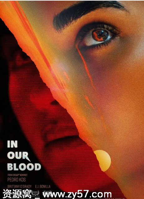 找寻家世电影海报