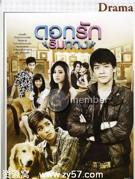 泰剧推荐《爱在路上》2010年喜剧爱情豆瓣8.0评分 - 零零盘