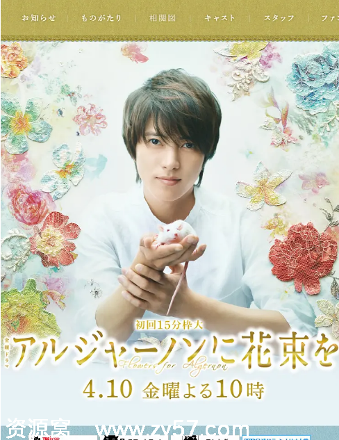 日剧推荐《献给阿尔吉侬的花束》2015年豆瓣8.0爱情科幻剧集分享 - 零零盘