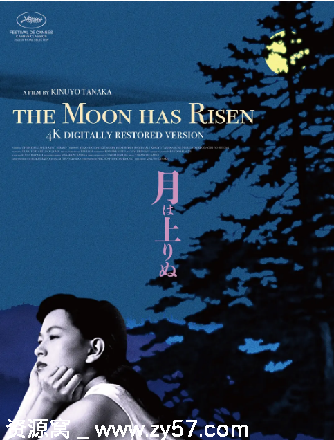 月升中天电影海报