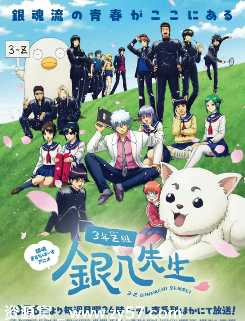 日剧3年Z组银八老师2025动漫 豆瓣7.6分高清资源分享 - 零零盘