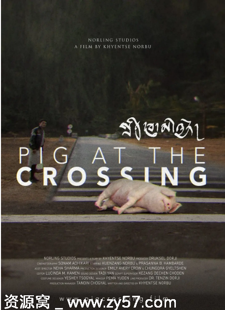 不丹电影《十字路口的猪》2024剧情解读 豆瓣评分7.5 - 零零盘