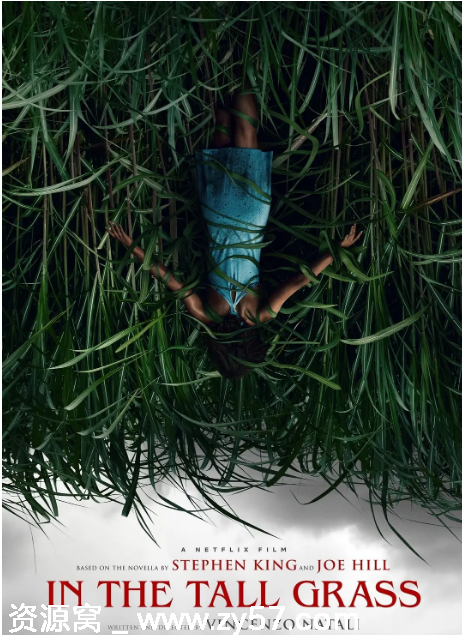 加拿大惊悚电影《高草丛中》2019剧情解析豆瓣评分6.5 - 零零盘