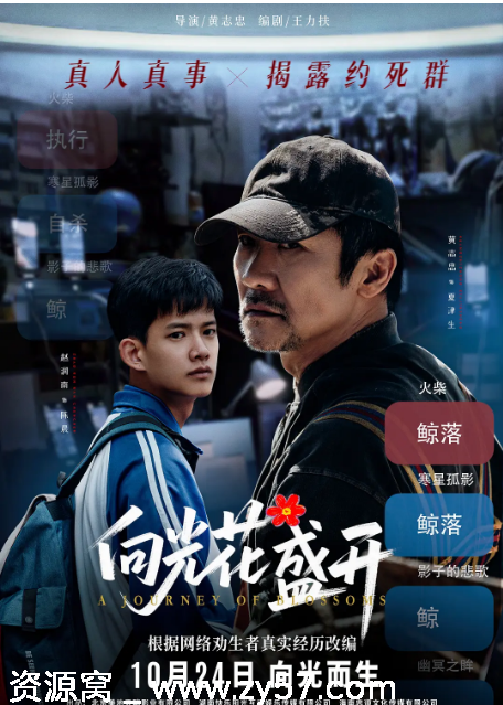 电影《向光花盛开》（2025）剧情解析分享 - 零零盘
