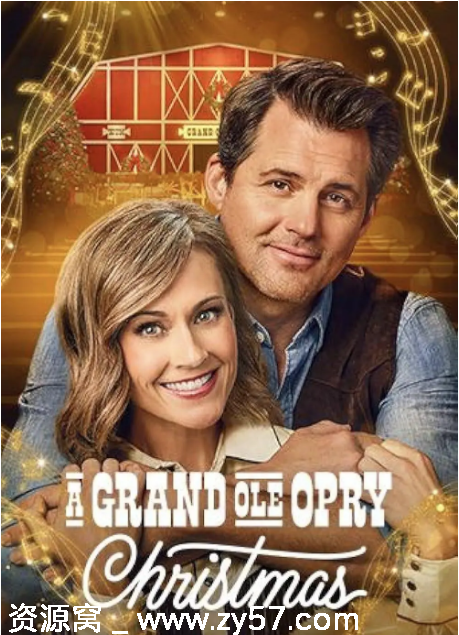 美国电影《大奥普里圣诞夜》（2025）剧情简介 - 零零盘