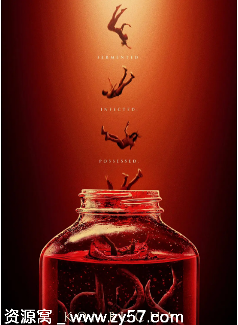 康普茶电影海报