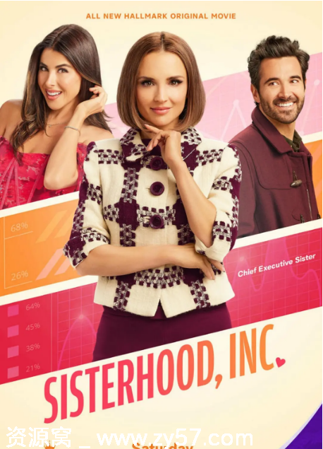 姐妹董事会电影海报