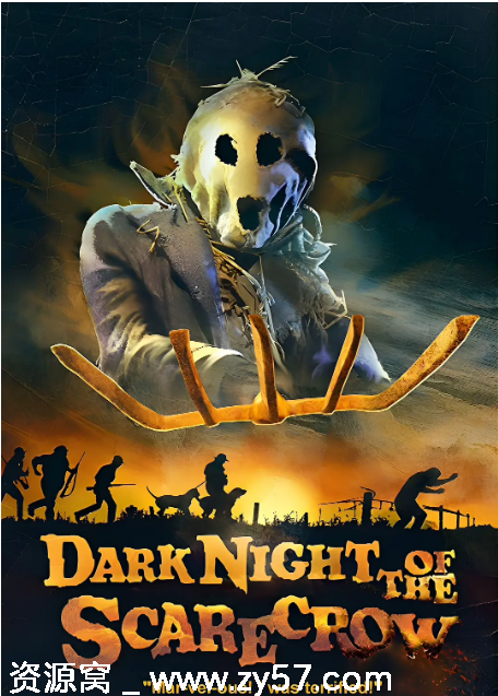 电影《稻草人的黑夜》海报