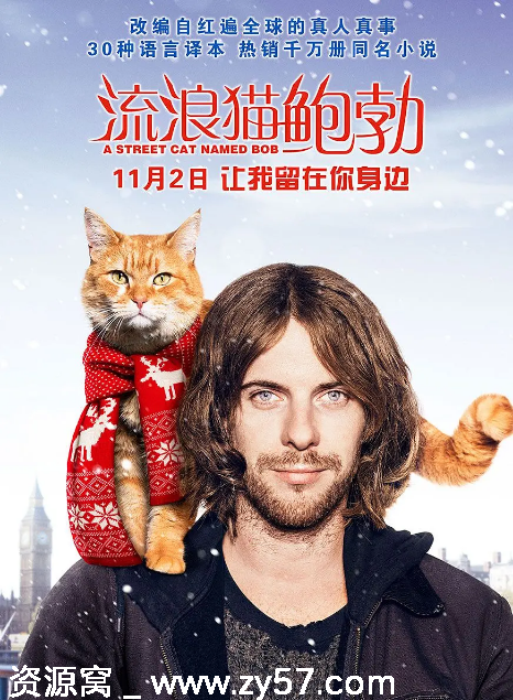 英国电影《流浪猫鲍勃》1-2部（2016-2020）剧情喜剧传记豆瓣7.9高清在线观看 - 零零盘