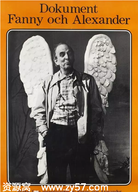 瑞典纪录片《芬妮和亚历山大的诞生》1984豆瓣8.6高清资源分享 - 零零盘