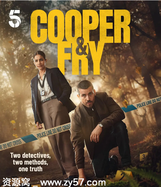 英剧推荐库珀和弗莱2025剧情解析 悬疑犯罪剧深度解析 - 零零盘